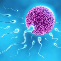 Infertility management